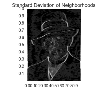 Picture of Neighborhood Stddev Feature
